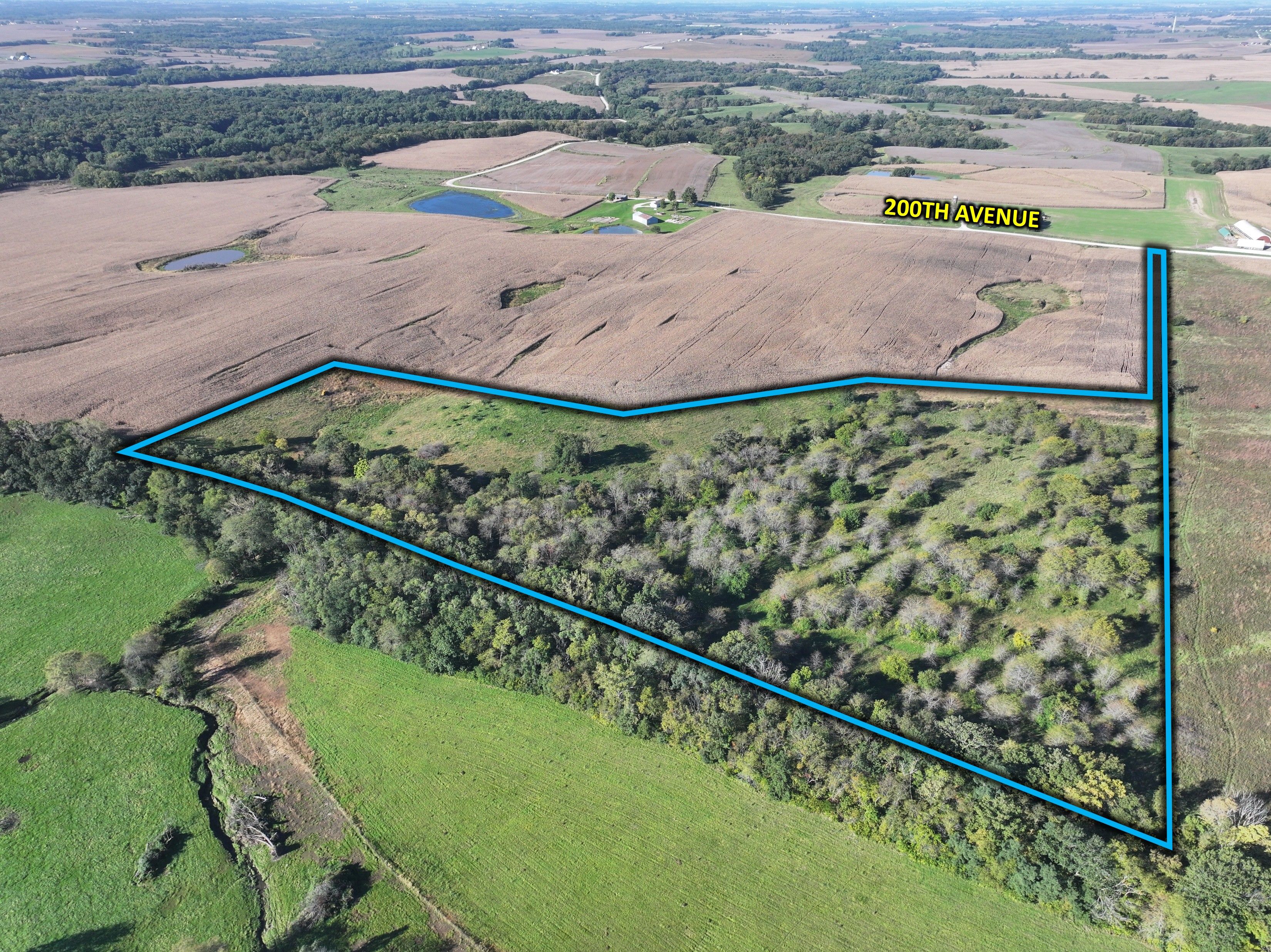 Listing Photo: Sigourney, Iowa land for sale 1